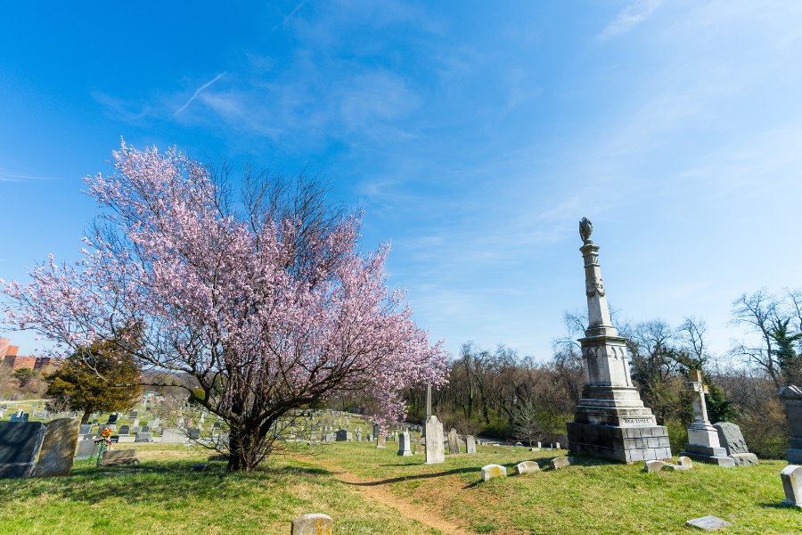 Congressional Cemetery