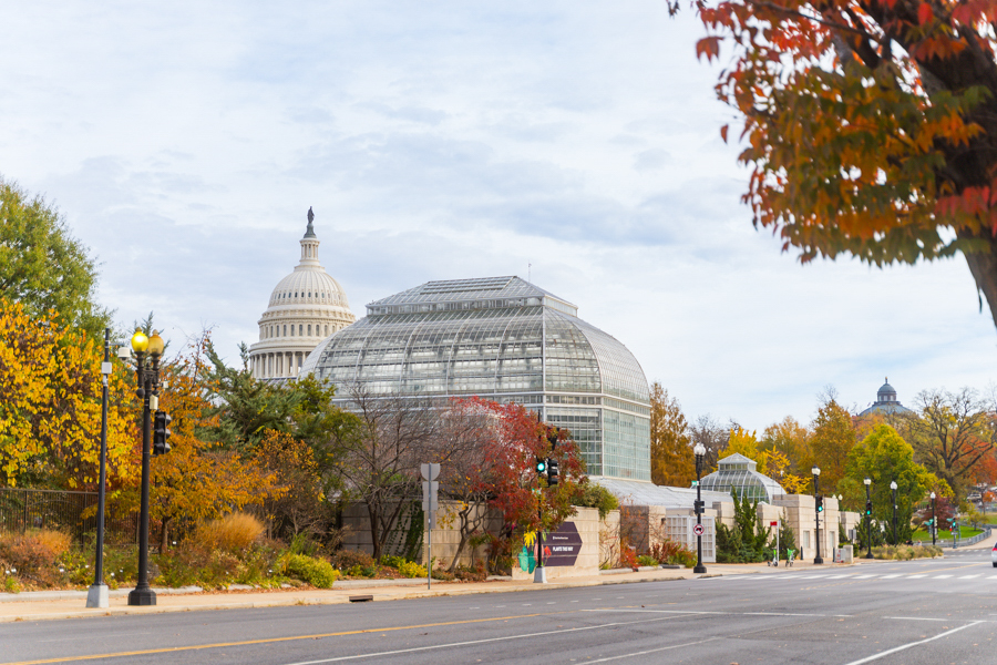 The glass-domed U.S. Botanic Garden sits among autumn foliage, with the U.S. Capitol in the background.