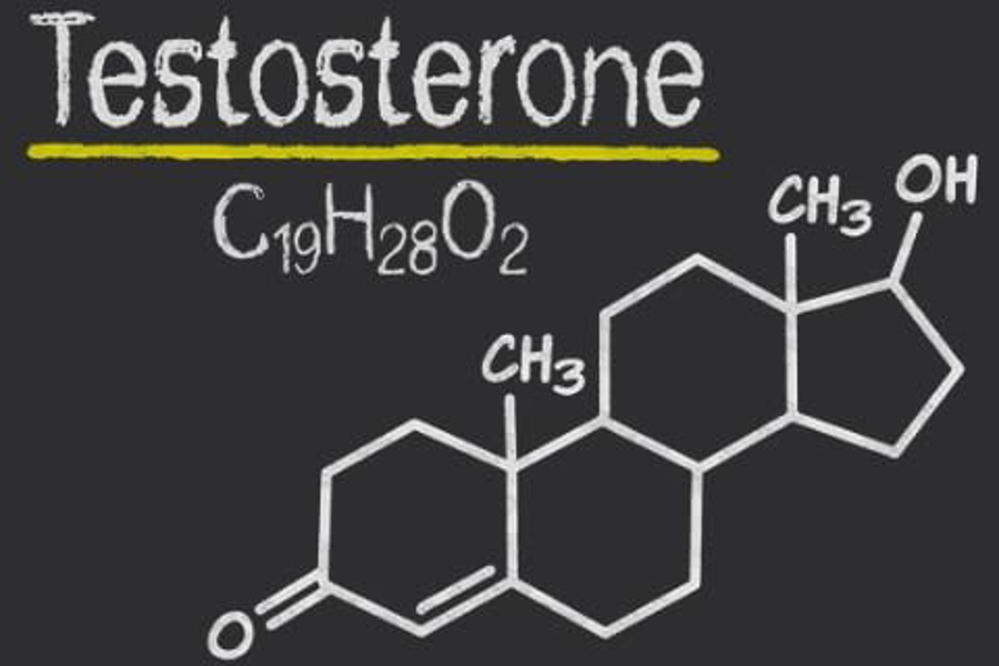 Diagram of the testosterone molecule with its chemical formula (C₁₉H₂₈O₂) on a chalkboard-style background.